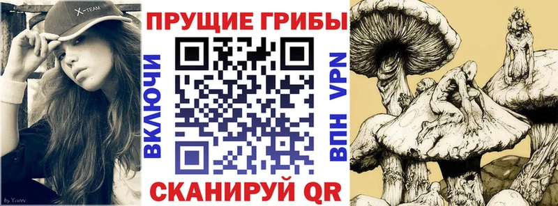 Псилоцибиновые грибы GOLDEN TEACHER  Емва 